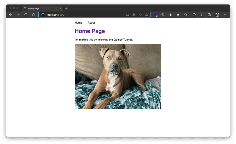 perrito home page